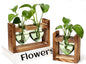 2+1 Plant Terrarium Plant Propagation Station Birthday Gifts for Women Home Office Decor with Wooden Stand