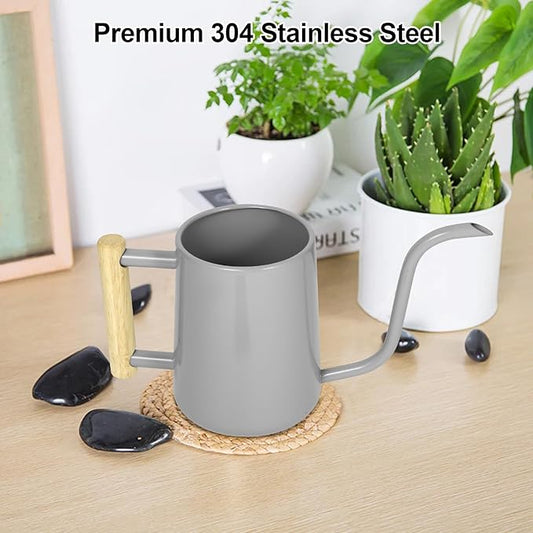Watering Can Indoor Plants, 35 oz/1000 ml Metal Stainless Steel Watering Can Pot with Long Spout for Indoor House Plants Bonsai Outdoor Garden Flower Decorative (Gray)
