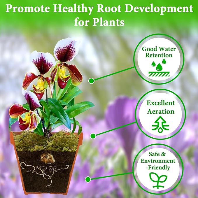 Halatool 6OZ Green Forest Moss Natural Sphagnum Moss for Plants Fluffy Orchid Moss for Orchids Repotting Dried Plant Moss for Potted Plants Indoor & Outdoor