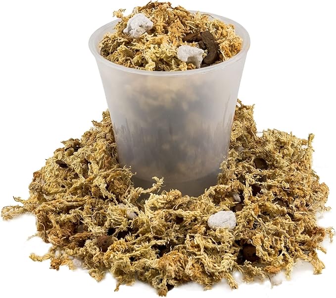 GARDENERA Premium Pothos Potting Soil Mix - Air Cleaning Plant Potting Mix, Soil Mix for Pothos, Parlor Palm, Peace Lily - (2 Quart Bag)