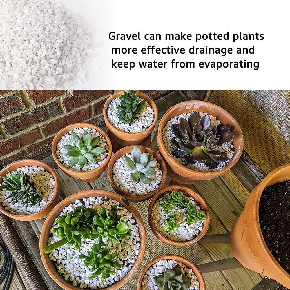 7lb White Cactus Pea Gravel Rocks,1/4 Inch Pebbles for Indoor Plants, Natural Succulent Rock and River Rocks Decorative for Aquariums, Vases, Outdoor Gardening, Top Dressing for Potted Plants