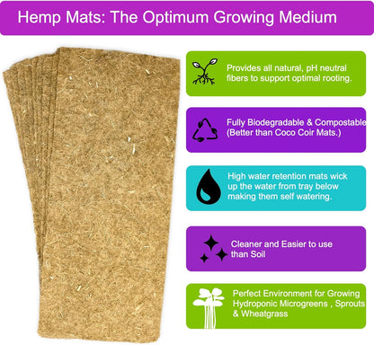 Microgreens Refill for Zestigreens Microgreens Growing Kit. Broccoli, Mixed Salad, Chia & Red Amaranth Organic Microgreen Seeds & 4 mats.