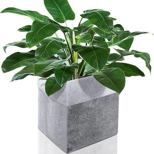 Augshy Nursery Growing Bags, 200Pcs Plant Grow Bags Non-Woven Fabric Seedling Pots Seedling Bags for Planting Seed Starting Pots Pouches for Vegetable Flower Fruit Saplings Tree (5.9" x 6.3")