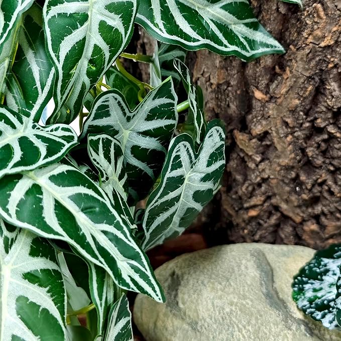 Woyrise Reptile Plants for Terrarium Decor, Ball Python Tank Accessories fit Bearded Dragon Crested Leopard Gecko Lizard Chameleon Snake Frog Tortoise Hermit Crab - Fake Alocasia Black Velvet