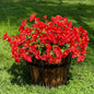 10 Bundles Artificial Flowers for Outdoor,UV Resistant Fake Petunia Flowers,Faux Plants for Outside Hanging Planters,Artificial Plants for Indoor Porch Garden Home Wedding Decor(Red)