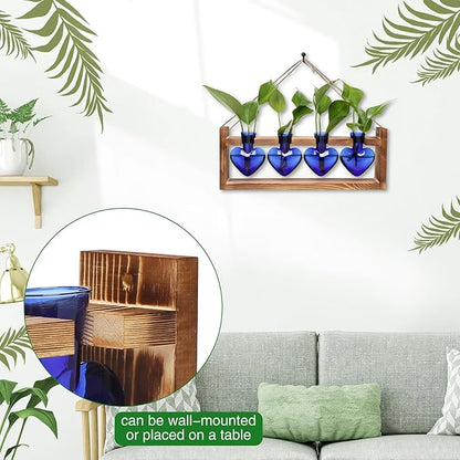 Heart Plant Terrarium Kit Gift for Women Plant Lover Glass Vases