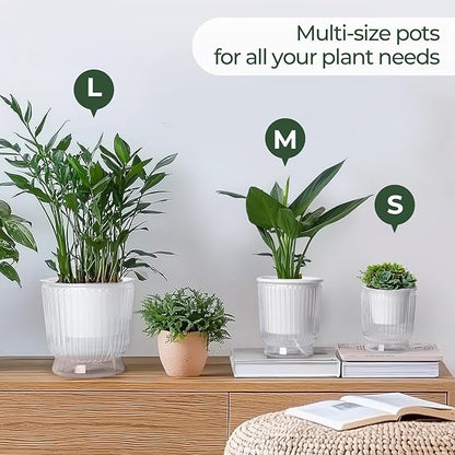 T4U 4 Inch Self Watering Plant Pot, 4 Pack Self Watering Pots, Self Watering Planter with Reservoir, Clear Self Watering Pots for Indoor Plants, African Violets, Flowers (4 Pack, 4", Clear)
