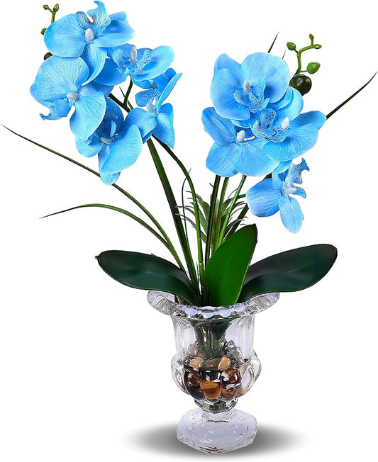 Jusdreen Artificial Blue Orchid in Glass Vase, Realistic Phalaenopsis Arrangement with Potting for Home Office Table Decor, 14.5 Inch Orchid Centerpiece