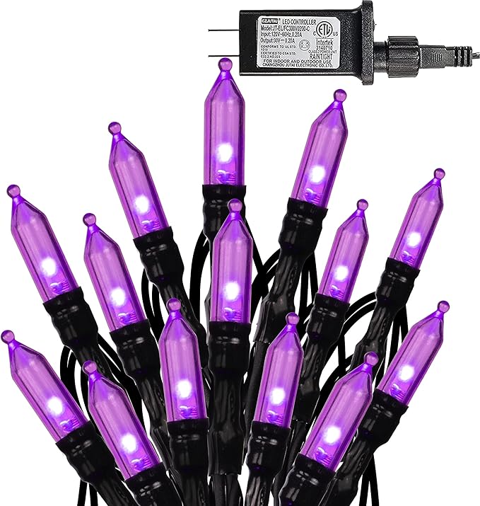 Dazzle Bright 200 LED Halloween Mini String Lights, 65FT Light Up 8 Modes Halloween Decorations Fairy Lights for Indoor Outdoor Room Garden Holiday Party (Purple)