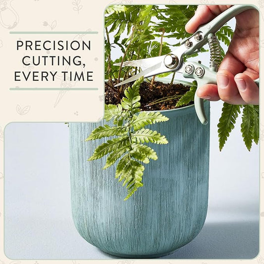 Modern Sprout Pruning Shears - Herb Snipping Scissors- Lightweight Gardening Tools W/Easy Lock - Flower Cutter Garden Shears - Carbon Steel Blade + Reusable Holster (Sage, 1-Pack)