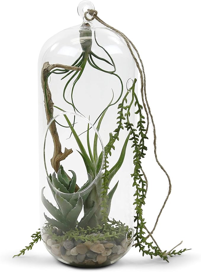 WGV Hanging Glass Plant Terrarium, Width 5", Height 13", Lantern DIY Air Succulent Planter Clear Tea Light Votive Candle Holder, Wedding Event Office Home Outdoor Decor, 1 Piece
