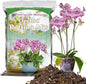 Orchid Potting Mix 2 Quarts, Mixture of Moss Pine Bark Coco Peat and Perlite, HOUNANG Orchid Bark Potting Mix, Orchid Repotting Kit Suitable for Plant Root Expansion and Good Drainage