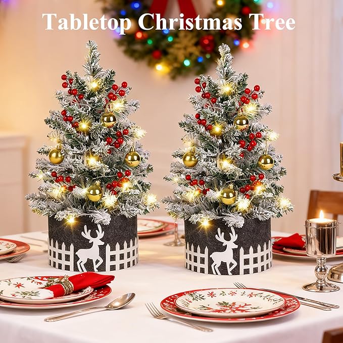 2FT Snow Flocked Mini Christmas Tree with Lights, Pre-Lit Small Christmas Tree for Home, Artificial Xmas Tree for Office, Shop, Bar, Party, Indoor Outdoor Decoration (Battery Not Included)