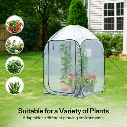 VIVOSUN 39x39x63-Inch Portable Walk-in Greenhouse, with PVC Cover & Detachable Base, Instant Pop-up and Folding, Mini Greenhouse with Roll-Up Door & Mesh Window for Indoor Outdoor, Wind Ropes Included