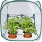Medium Pop Up Greenhouse, Versatile Greenhouses for Outdoors or Indoor Greenhouse.