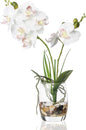 Jusdreen White Orchid Centerpiece in Glass Vase, 14.5 Inch Artificial Phalaenopsis with Potting for Home Office Decor, Table Centerpiece