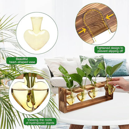 Plant Propagation Stations Heart Plant Terrarium Kit Gift for Women Plant Lover Glass Vases