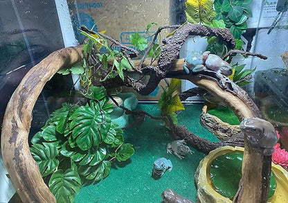 Woyrise Reptile Artificial Plants for Terrarium, Amphibian Habitat Decor Plant, Bearded Dragon Tank Decorations fit Gecko Lizard Chameleon Ball Python Snake Frog - Monstera Bush