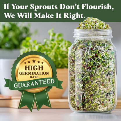 Seedboy Organic Broccoli Seeds for Sprouting - Non-GMO, USA Grown Microgreens Sprouting Seeds Mix - Makes 8 Quarts of Sprouts, 24 Servings (8 oz) (Di Cicco Broccoli)