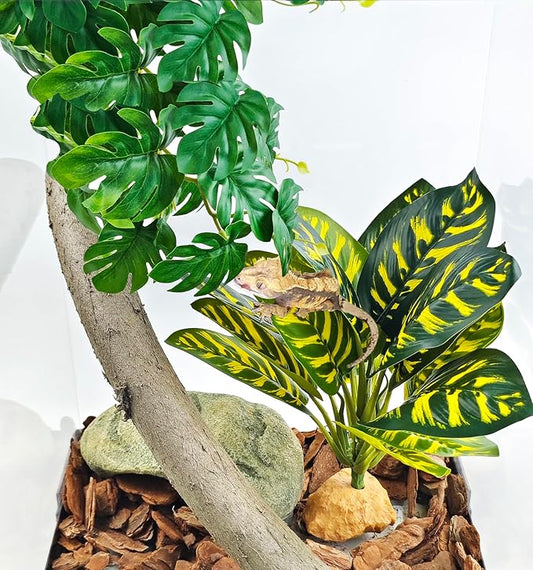 Woyrise Reptile Artificial Plants for Terrarium Decor, Amphibian Habitat Decorations Bearded Dragon Tank Accessories fit Crested Gecko Leopard Lizard Chameleon Ball Python Snake Frog - Prayer Peacock