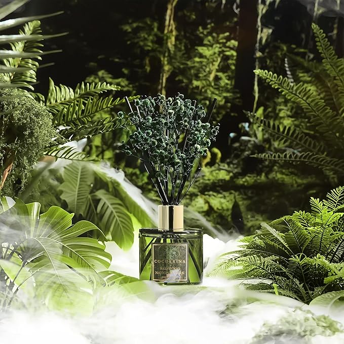 COCORRÍNA Reed Diffuser - Redwood National Park 6.7 Fl.oz Reed Diffuser Set with 8 Sticks & Preserved Baby's Breath, Reed Diffuser for Home Bathroom Shelf Decor