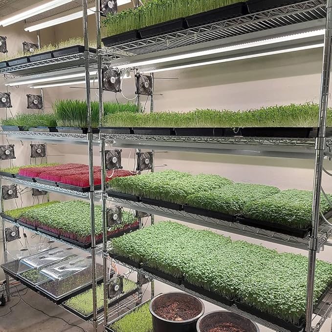 Active Grow Integrated Strip T5 4FT LED Grow Light - T5 Grow Lights for Indoor Plants, Flowers, Fruit, Veg, Bloom & Tropical Plants - 22W - Red Bloom Pro Full Spectrum - Linkable - 120-277V - 2-Pack