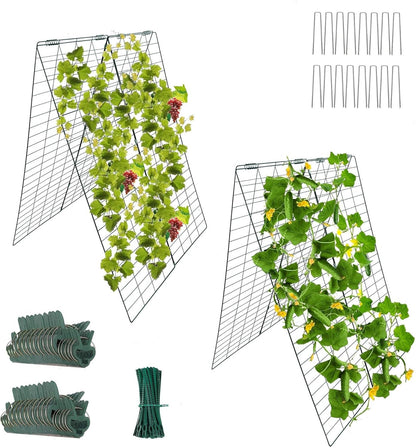 Garden Cucumber Trellis A-Frame Folding Plant Trellis 48 Inch by 34 Inch for Climbing Vegetables Flowers Green 2 Pack with Clips,Cable Ties and Ground Stakes