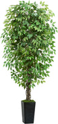 Artificial Ficus Tree 6FT Faux Plants Indoor Tall Fake Plants with Black Square Planter, Green Lifelike Lush Fake Ficus Tree for Home Living Room Bedroom Outdoor Balcony House Office Decor