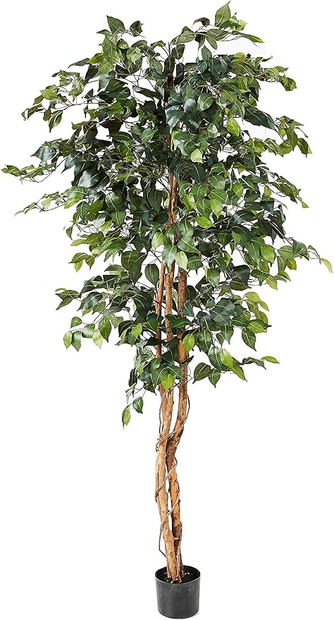 Nearly Natural 6ft Triple Trunk Artificial Ficus Tree with Natural Wood Trunks, Fake Tree for Indoor Home Décor, Faux Ficus Tree with Black Nursery Pot
