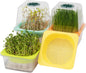 Microgreen Growing Trays, LUVCSOY Sprouting Tray with Humidity Dome, 3mm Large Mesh Holes, BPA Free, Sprouter Kit for Growing Large Seeds, Like Sunflower, Mung Beans, Green Pea - 4 Pack | Clear