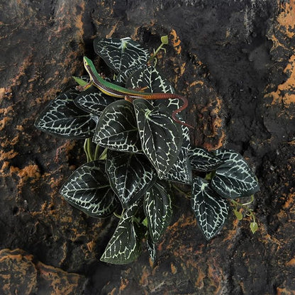 IBWell Fake Reptile Plants for Reptile Terrarium Plants, Reptile Plant Décor, Turtle Tank Plants with Suction Cup