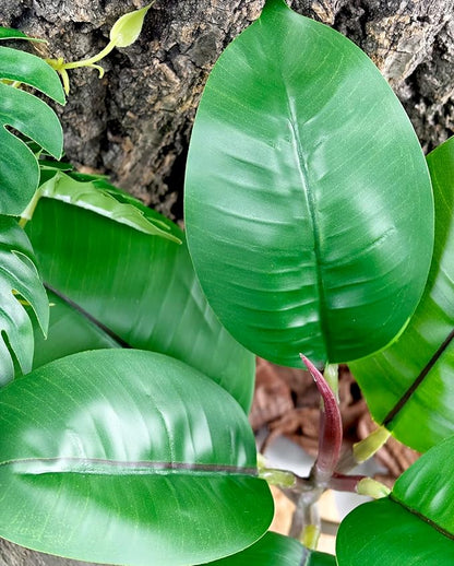 Woyrise Reptile Plants for Terrarium, 9" Fake Rubber Tree Ball Python Tank Accessories Habitat Decor fit Crested Gecko Leopard Bearded Dragon Lizard Chameleon Snake - Ficus Elastica Robusta