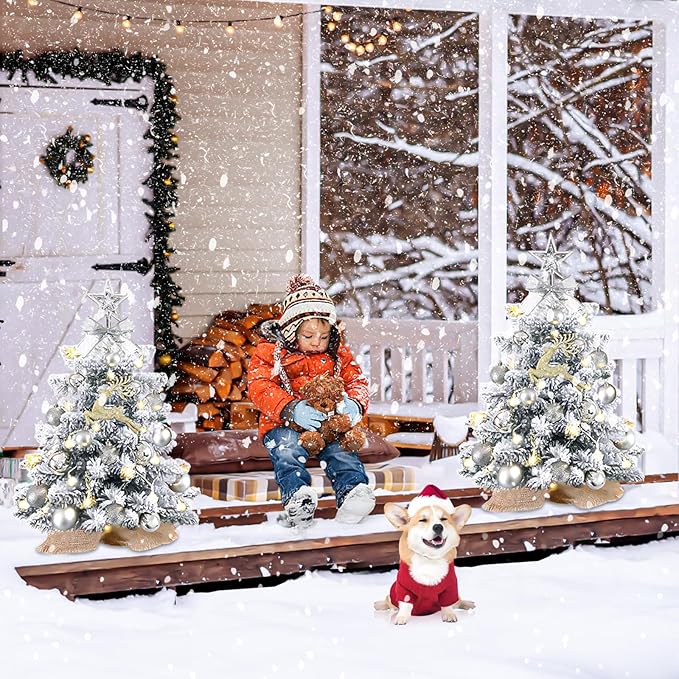 Mini Christmas Tree Prelit, Small Artificial Christmas Tree with Lights, Pre Lit Little Decoration for Table Top Home Cafe Office, Snow Flocked