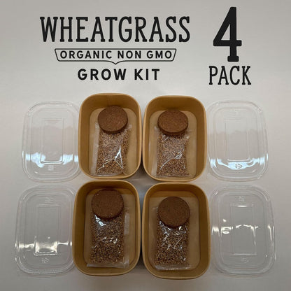Organic Wheatgrass Premium Grow Kit 4 Pack | Whetagrass Juice | Catgrass | Non GMO Mixed Seeds | Wheatgrass Shot