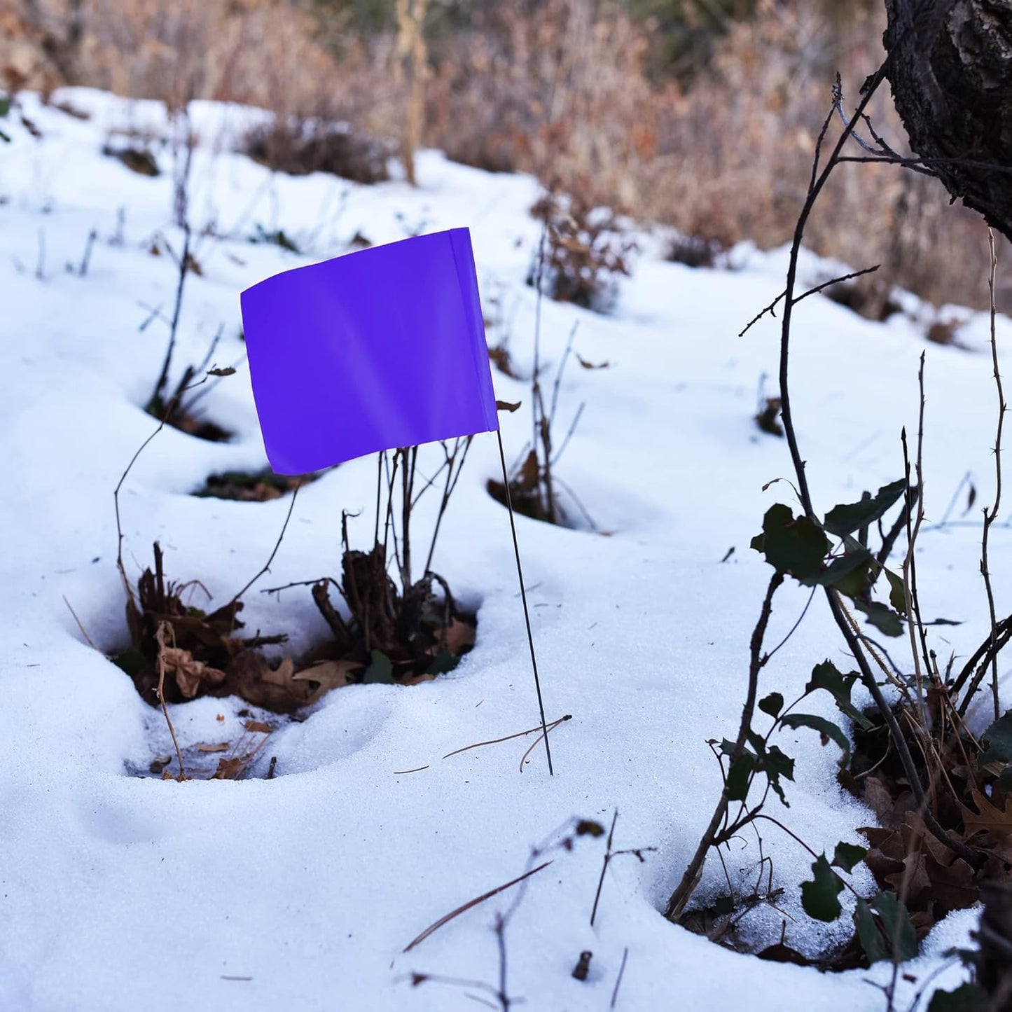 Purple Marking Flags for Yard - 4x5x15 Inch Purple Flags for Outside - 100 Pack - Markers For Lawn, Irrigation, Landscaping, Survey & Sprinkler Head Marking