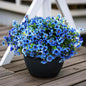 Artificial Faux Plants Flowers for Outdoor Outside Summer Decoration,16 Bundles UV Resistant Realistic Blue Plastic Fake Silk Daisy for Indoor Outside Greenery Boxwood Garden Home Planter Porch Patio