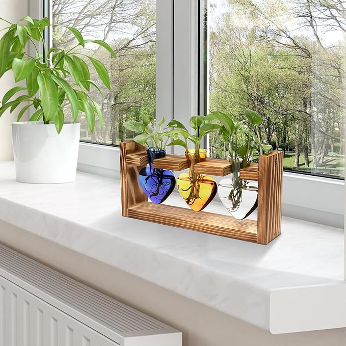 Plant Terrarium Propagation Stations Hydroponics Home Garden Decoration Gift for Women with Wooden Stand Heart Shaped Colored Glass Vase