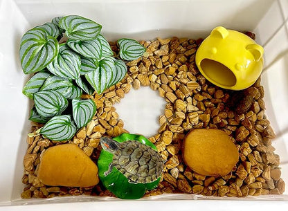 Woyrise Reptile Plants for Terrarium Decor, Ball Python Tank Accessories fit Bearded Dragon Crested Leopard Gecko Lizard Chameleon Snake Frog Tortoise Hermit Crab - Fake Calathea Orbifolia