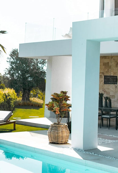 2PCS Artificial Croton Plant, Faux Fiddle Leaf fig Tree,Artificial Trees for Home Decor,Floor Plant,Front Porch Plants with Plastic Pot, Faux Ficus Lyrata Tree,35inch