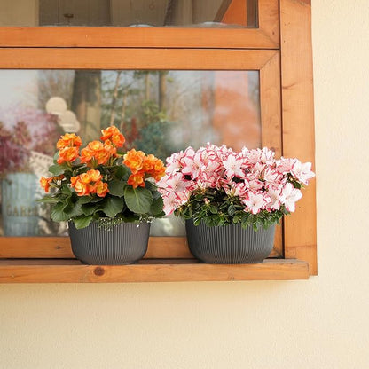 T4U 10 Inch Self Watering Pots for Indoor Plants, Plastic Plant Pots with Drainage Hole, Large Flower Pots for Indoor Outdoor Plants Cactus, Garden, Set of 2, Gray