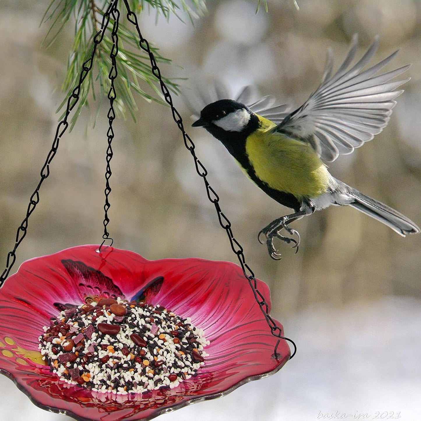 Hanging Bird Bath Glass BirdBath Hummingbird Outdoor Bird Feeder Garden Yard Decorations