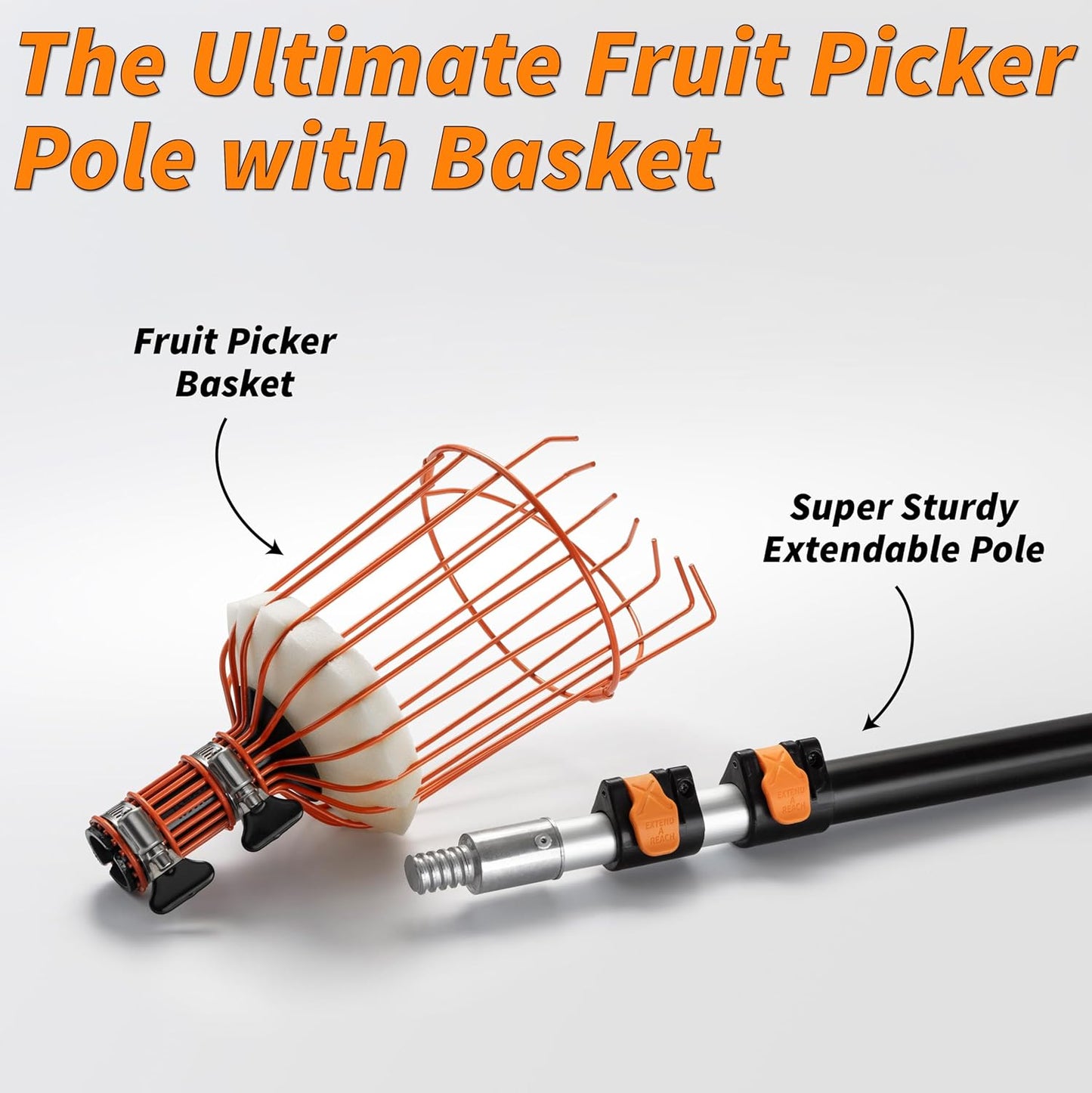 Fruit Picker Pole with Basket Telescoping 5-30 ft Apple Picker Extension Pole // Telescopic Fruit Tree Picker Tool for Picking Orange Mango Avocado Lemon Pear // The Ultimate High-Reach Fruit Grabber