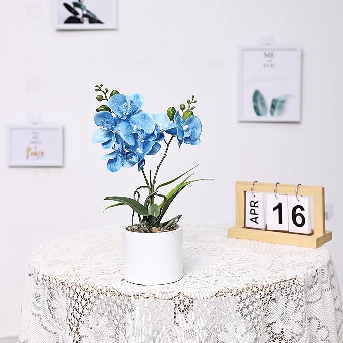Jusdreen Artificial Blue Orchid in Ceramic Pot, Realistic Phalaenopsis Arrangement with Potting for Home Office Table Decor, 14.5 Inch Flower Centerpiece