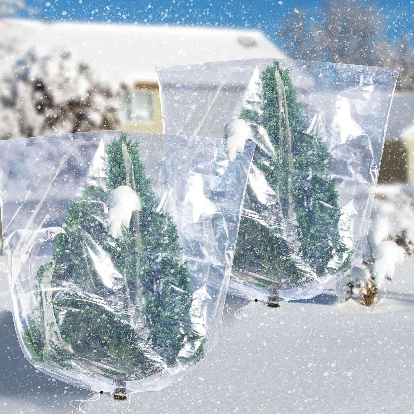 ANPHSIN 2 Pcs Extra Large Winter Plant Cover Freeze Protection - 70.8" x 82.7" Plastic Plant Frost Bags with Drawstring, Waterproof Plant Shelter Coverings for Outdoors Garden Shrubs Palm Fruit Trees