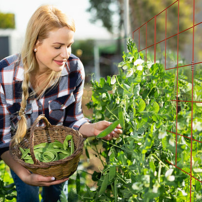 DOEWORKS Cucumber Trellis, 48" High Foldable A Frame Garden Trellis, 2 Pack, Plant Support for Climbing Cucumber, Beans, Tomatoes, Flowers, Red