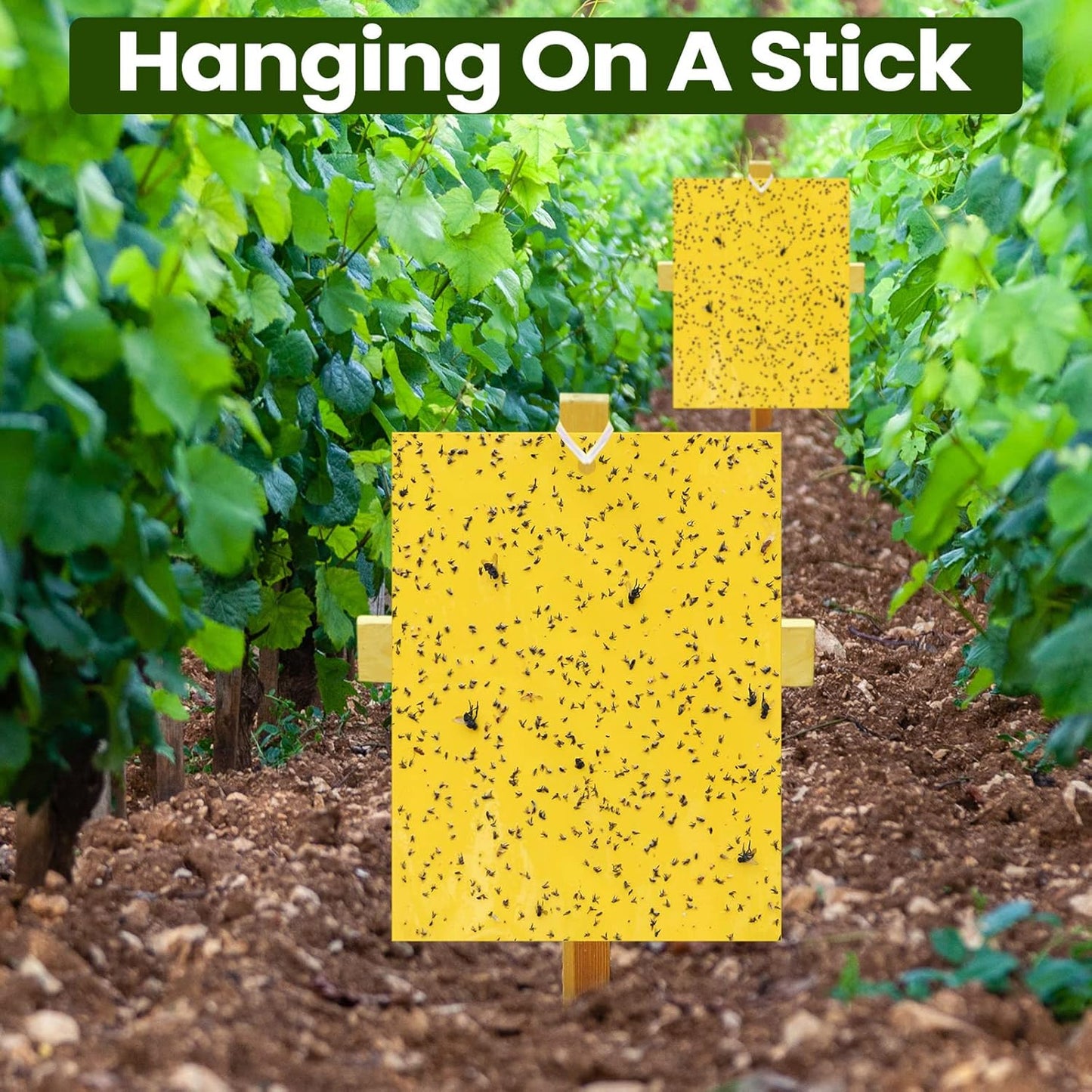 Qualirey 900 Pcs 6 x 8 Inch Yellow Sticky Traps for Plant Double Sided Sticky Trap for Gnats with Twist Ties Sticky Fly Traps for Fruit Insect Fungus Bugs Indoor Outdoor