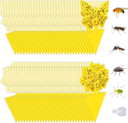 60 Pack Fruit Fly Trap, Fungus Gnat Trap Killer Protect Plants Indoor Outdoor, Double Sided Yellow Bug Sticky Traps for Fungus Gnat, Fruit Fly and Other Insects
