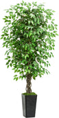 Artificial Ficus Tree 5FT Faux Plants Indoor Tall Fake Plants with Black Square Planter, Green Lifelike Lush Fake Ficus Tree for Home Living Room Bedroom Outdoor Balcony House Office Decor