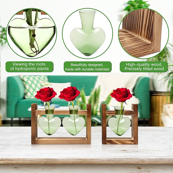 2+1 Plant Terrarium Plant Propagation Station Birthday Gifts for Women Home Office Decor with Wooden Stand
