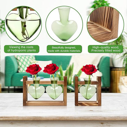 2+1 Plant Terrarium Plant Propagation Station Birthday Gifts for Women Home Office Decor with Wooden Stand